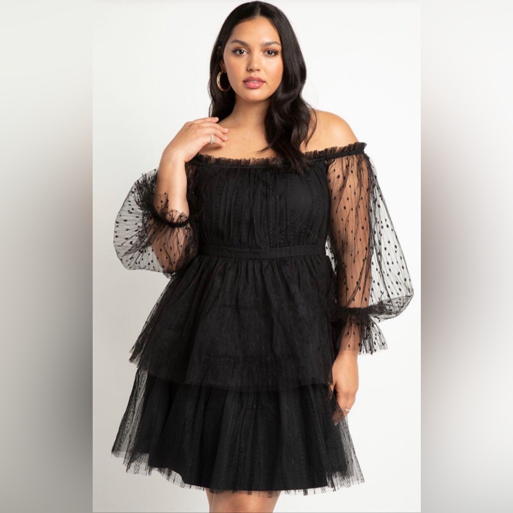 Mixed Tulle And Lace Mini Dress